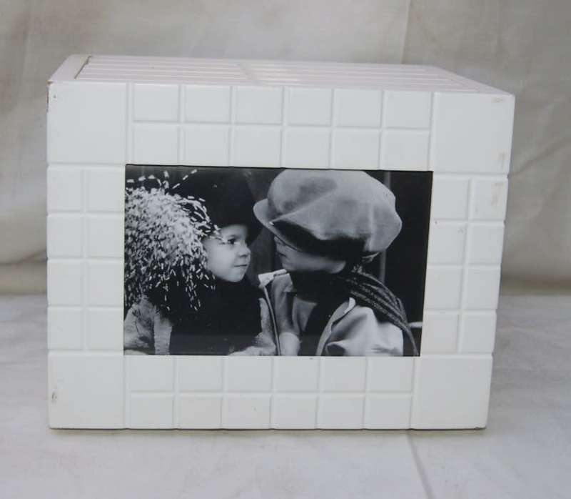 Photo Filing System for 120 Photos