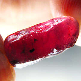 9.50ct ROUGH TOP BLOOD RED NATURAL RUBY