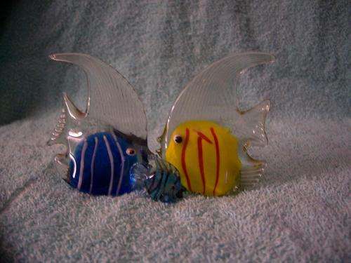 3 glass fishes