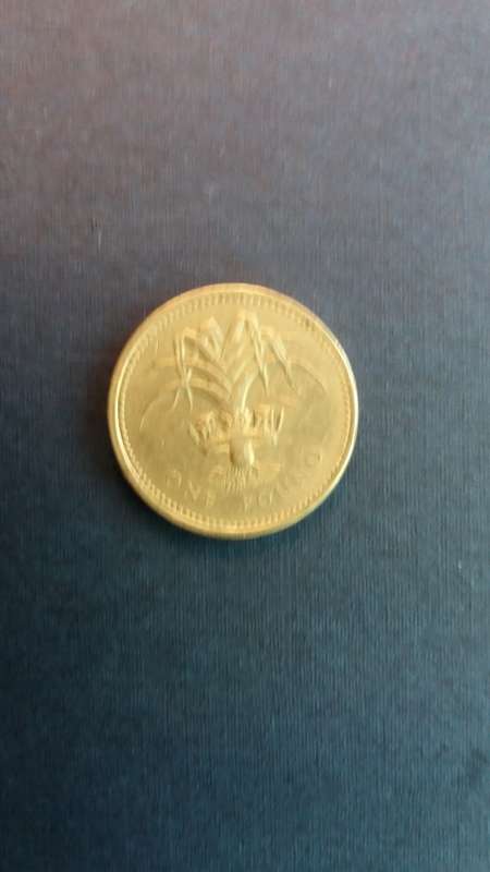 Great Britain 1 pound  1985 Queen Elizabeth 2nd *Welsh leek*