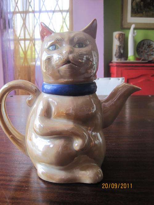 Very Unusual Teapot Cat