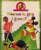 Mickey Wonder - Waarom is gras groen? (+- 18.5 x 23 x 0.7cm)