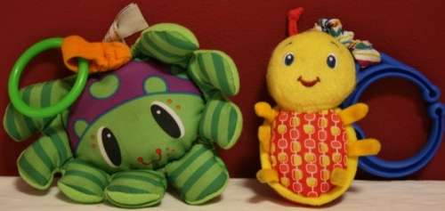 Plush Teddy