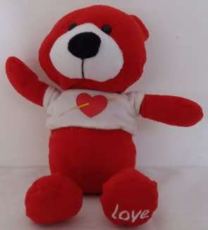 Plush Teddy - Red