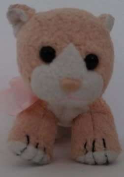 Plush Teddy