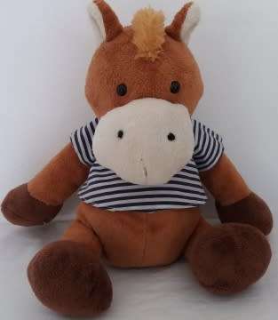 Plush Teddy