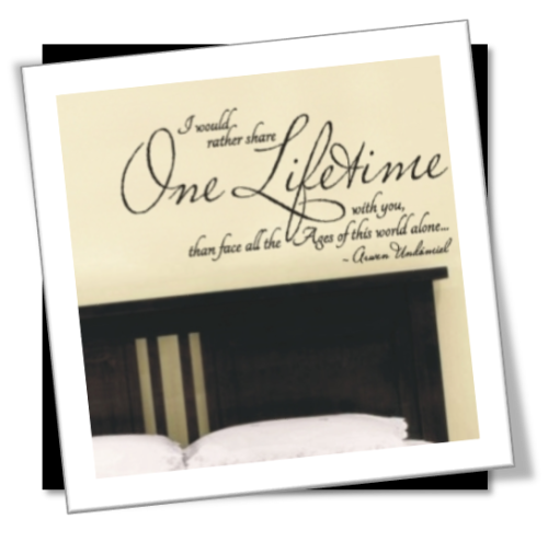 Vinyl Decals Wall Art Stickers - One Lifetime