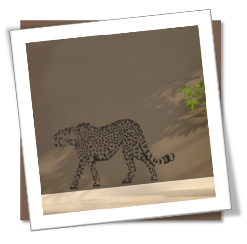 Vinyl Decals Wall Art Stickers - Abstract Cheetah A