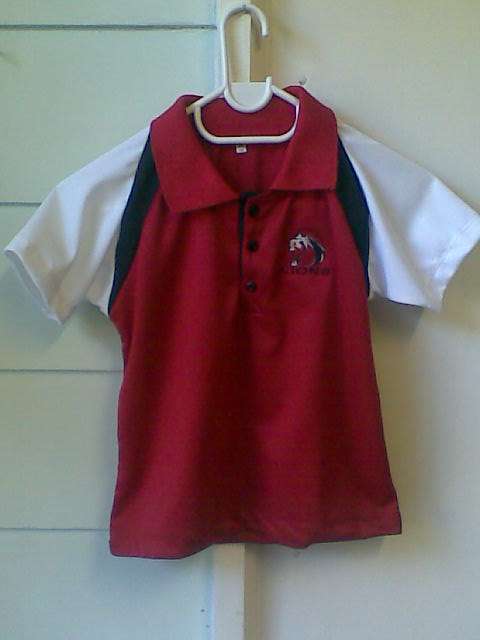 Lions Golf Shirt