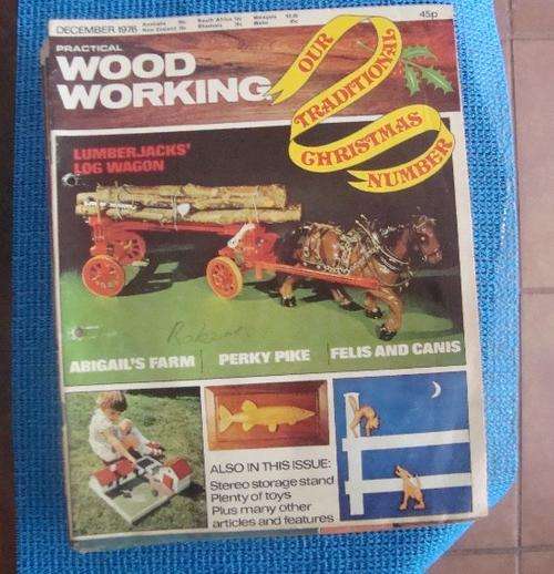 PRACTICAL WOOD WORKER  1976