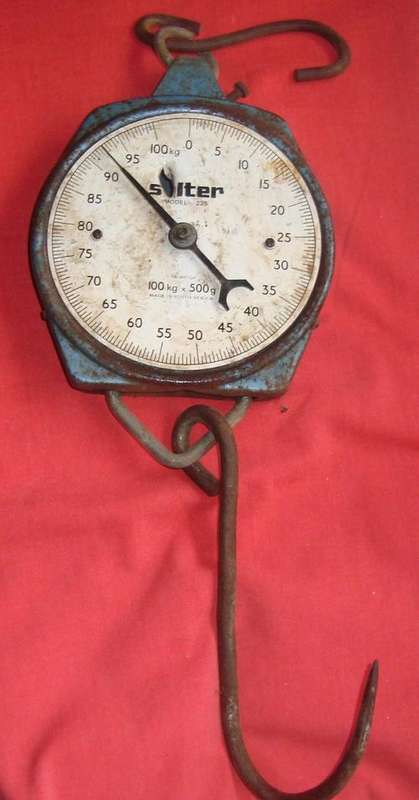 SALTER SCALE