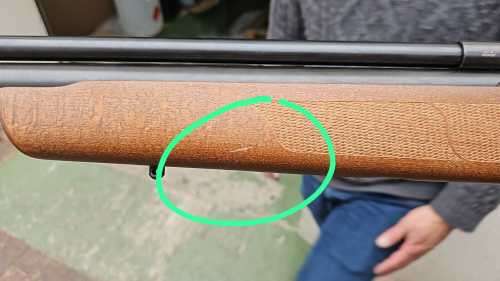 Venom PCP Air Rifle Pellet Gun 0.22 Cal