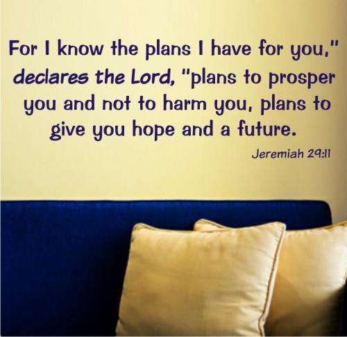 Vinyl Decal - Plans For You - Wall Art
