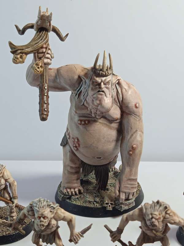 LORD OF THE RINGS MINIATURES
