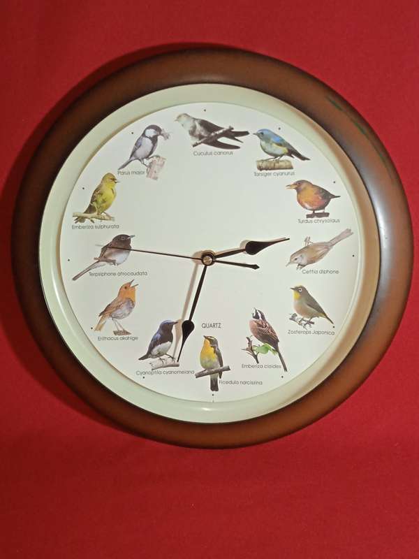 BIRD SOUND WALL CLOCK
