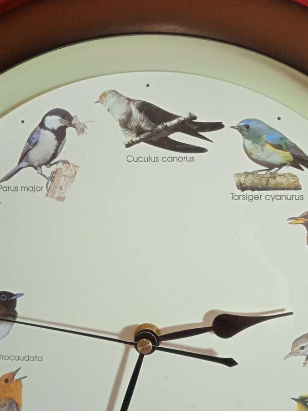 BIRD SOUND WALL CLOCK