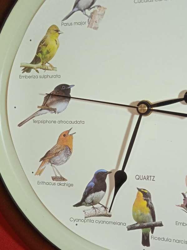 BIRD SOUND WALL CLOCK