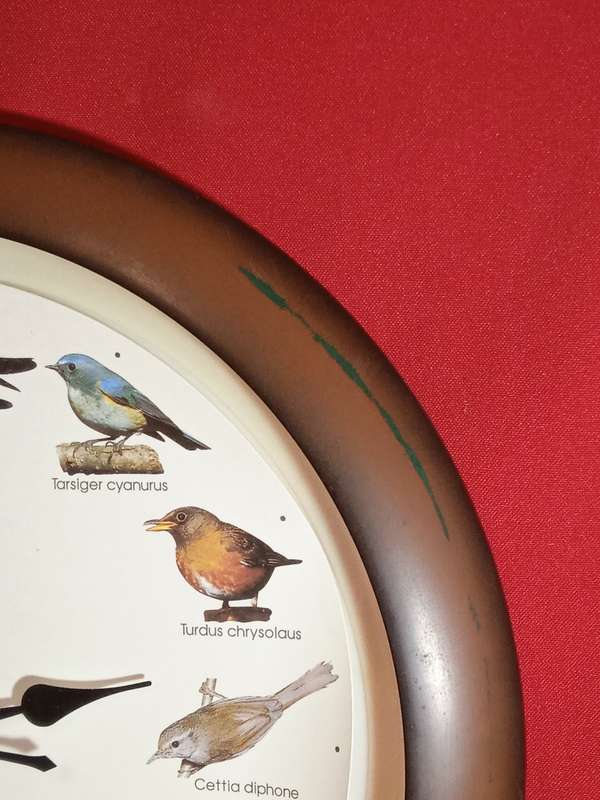 BIRD SOUND WALL CLOCK