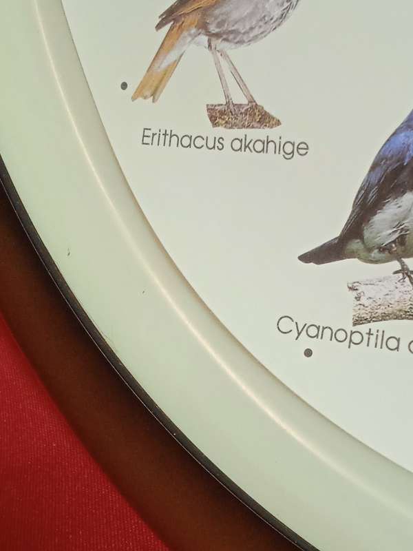 BIRD SOUND WALL CLOCK