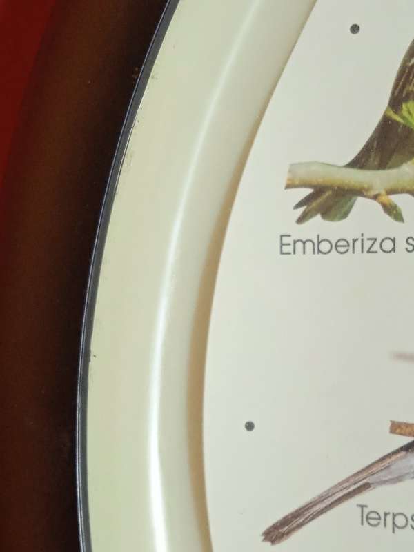 BIRD SOUND WALL CLOCK