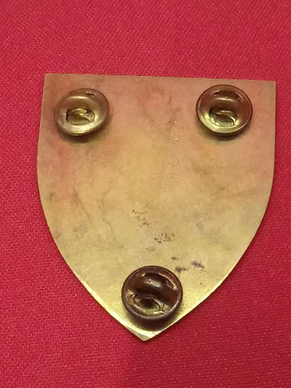 S.A.D.F BADGE