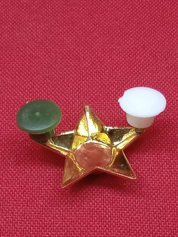 S.A.D.F BADGE