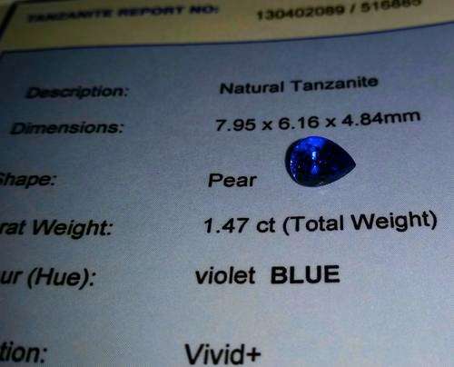 TANZANITE TANZANITE TANZANITE TANZANITE TANZANITE