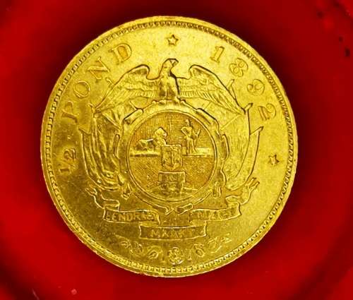 1892 GOLD DOUBLE SHAFT HALFPOND