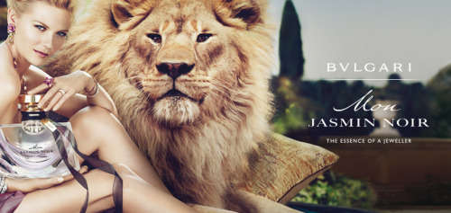 Bvlgari Jasmin Noir 50ml EDP