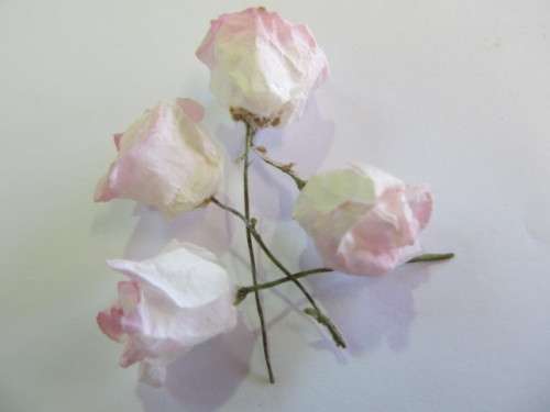 Embellishments Paper Rose Light Pink ±16mm 4pc