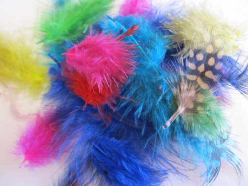 Feathers, Guinea Fowl, Mixed Colours, 60mm - 80mm, 5pc