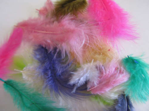 Poultry Feathers, Mixed Colours, 50mm - 80mm, 5pc
