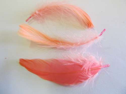 Poultry Feathers Bright Orange 50mm - 80mm
