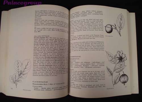 Food From The Veld - Edible Wild Plants Of Southern Africa, 400pg, Paperback, A4