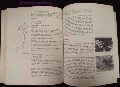 Food From The Veld - Edible Wild Plants Of Southern Africa, 400pg, Paperback, A4
