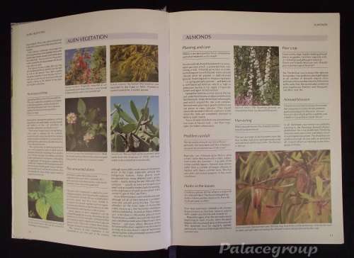 Readers Digest, Your Gardening Questions Answered, A Practical Guide For SA Gardener, 231pg, H/B, A4