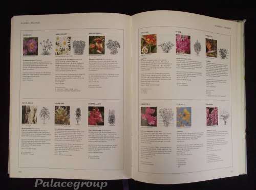Readers Digest, Your Gardening Questions Answered, A Practical Guide For SA Gardener, 231pg, H/B, A4