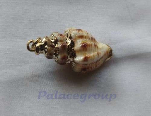 Pendant, Shell Pendant - SA Snail Shell - Cream With Shades Of Brown And Gold Colour Trimming