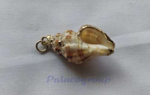 Pendant, Shell Pendant - SA Snail Shell - Cream With Shades Of Brown And Gold Colour Trimming