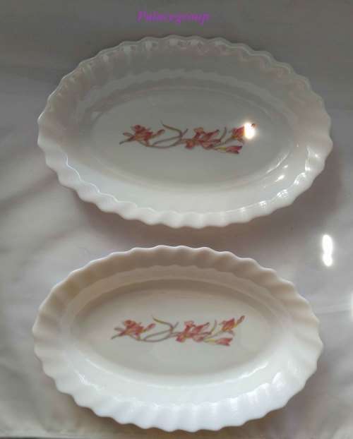 Set of 2 white condiment bowls, Arcopal - France, Lilly theme, oval shape.