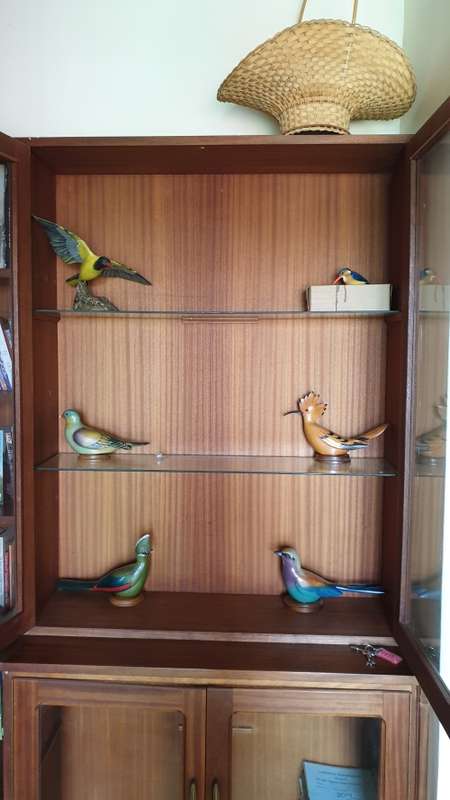 Feathers of Knysna birds (collectors item)