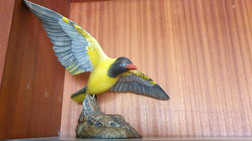 Feathers of Knysna birds (collectors item)