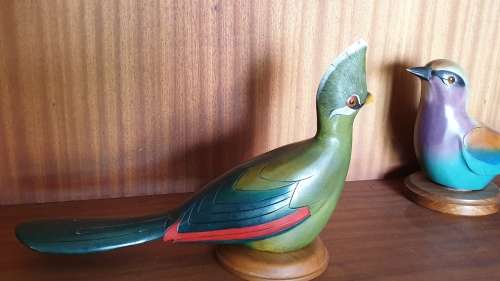 Feathers of Knysna birds (collectors item)
