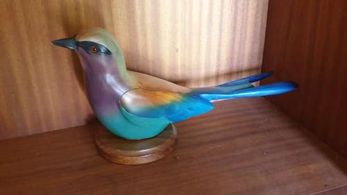 Feathers of Knysna birds (collectors item)