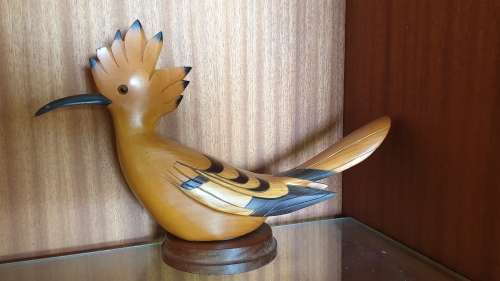 Feathers of Knysna birds (collectors item)