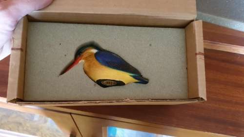 Feathers of Knysna birds (collectors item)