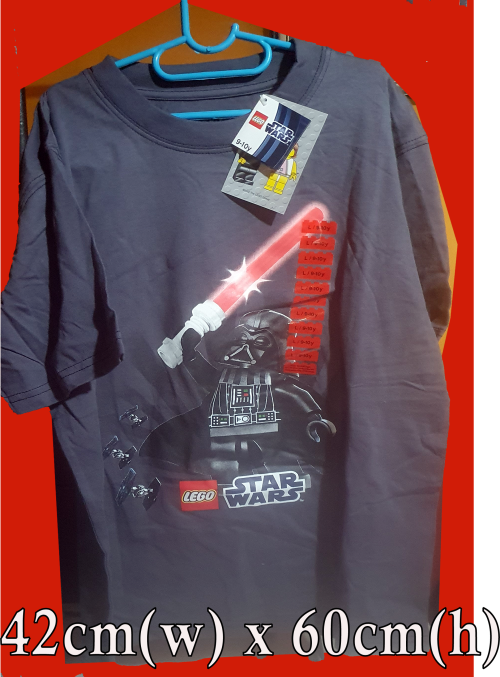 LEGO T- shirt branded childrens clothing