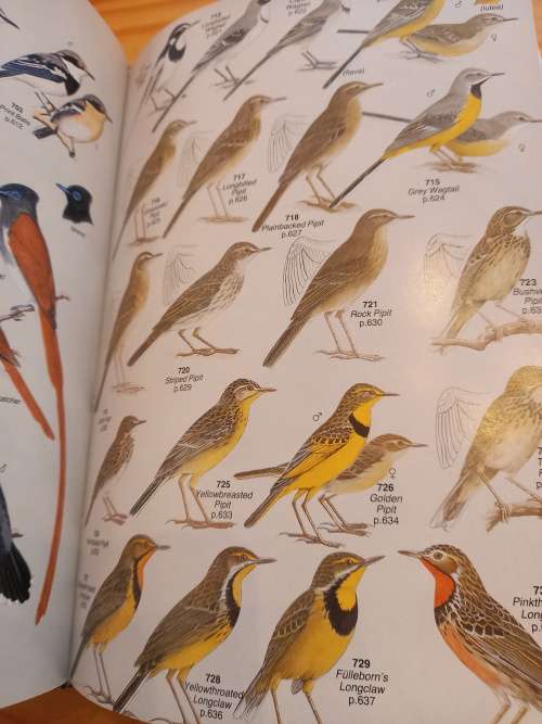 Roberts` Birds of Southern Africa 6th edition By Gordon Lindsay Maclean (2nd impression 1996)