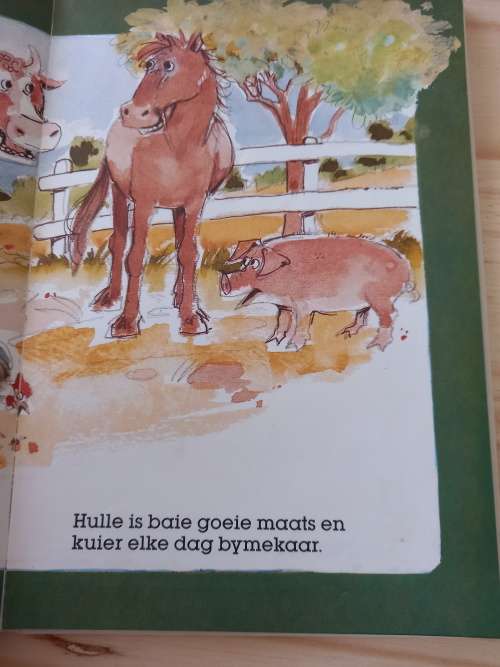 Die Ding deur Engela Linde (1990)