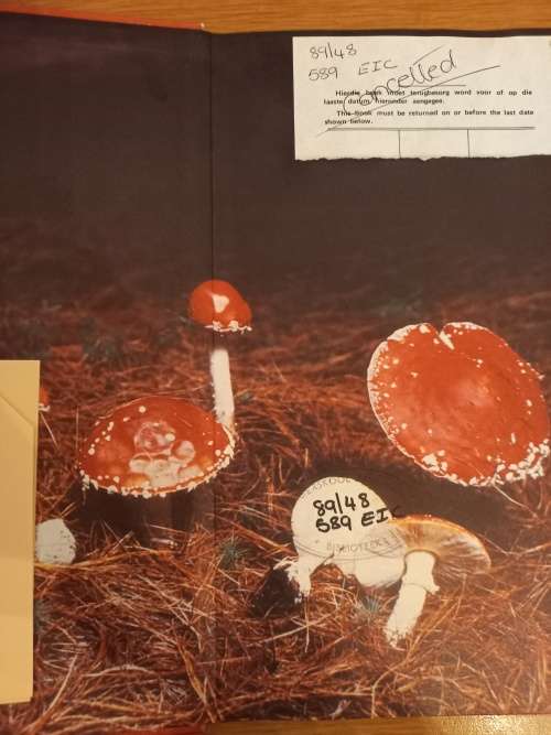 Die Insig-Reeks - Sampioene deur Albert Eicker